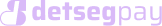 DetSegPay